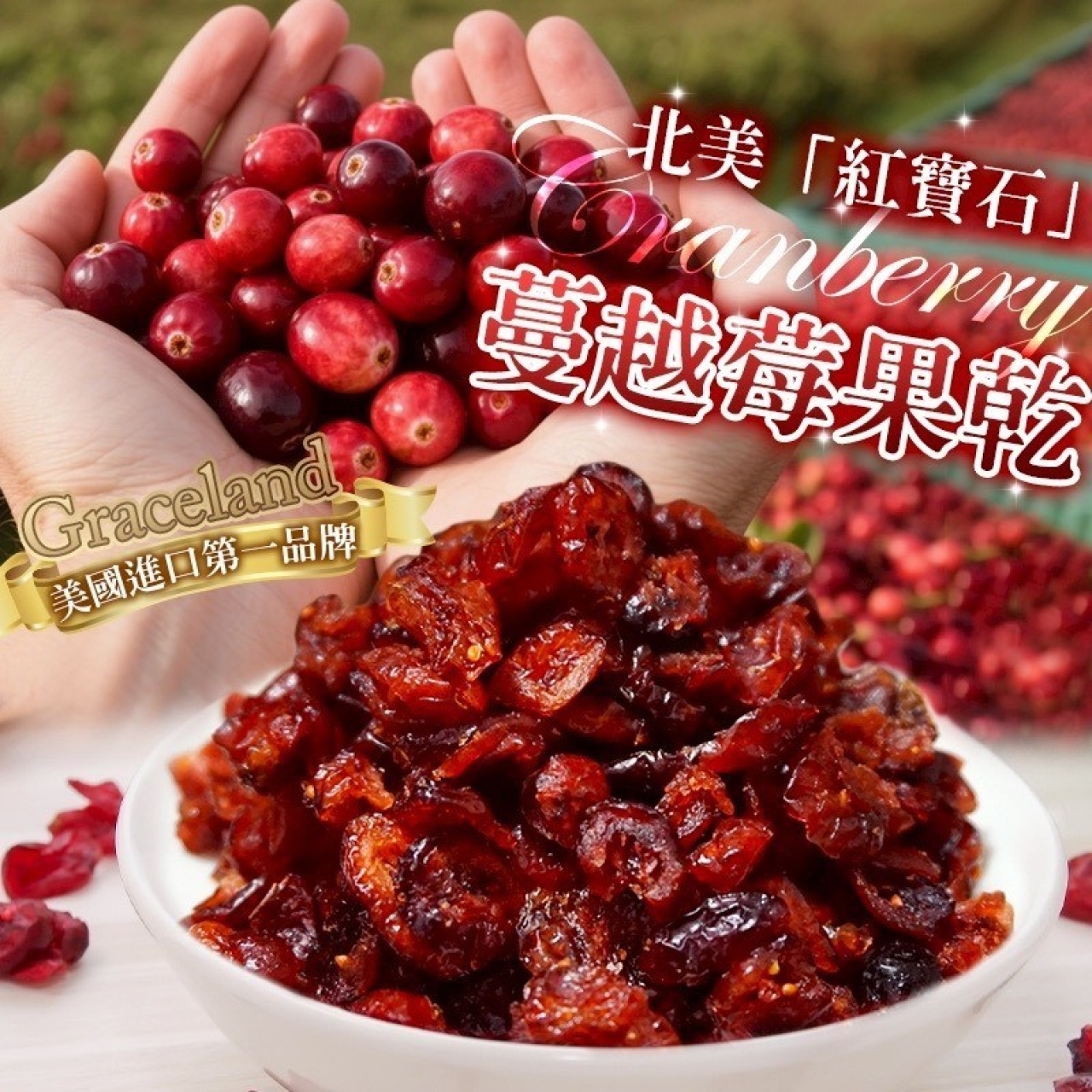北美紅寶石 蔓越莓果乾