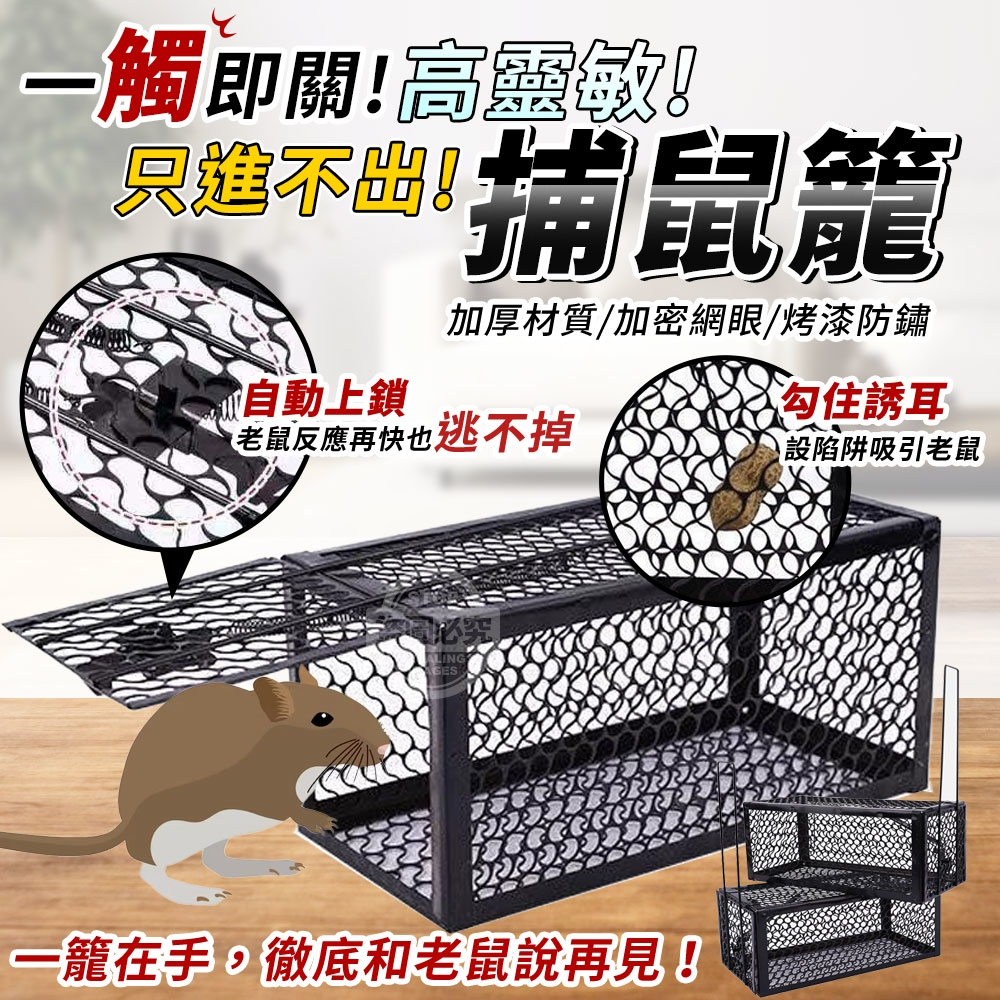 (2個)一觸即關！高靈敏自動上鎖只進不出捕鼠籠