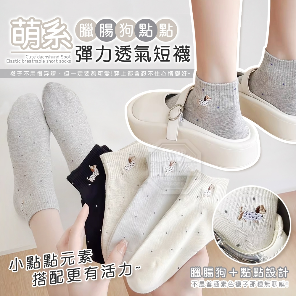 (2組)萌系臘腸狗點點彈力透氣短襪5雙