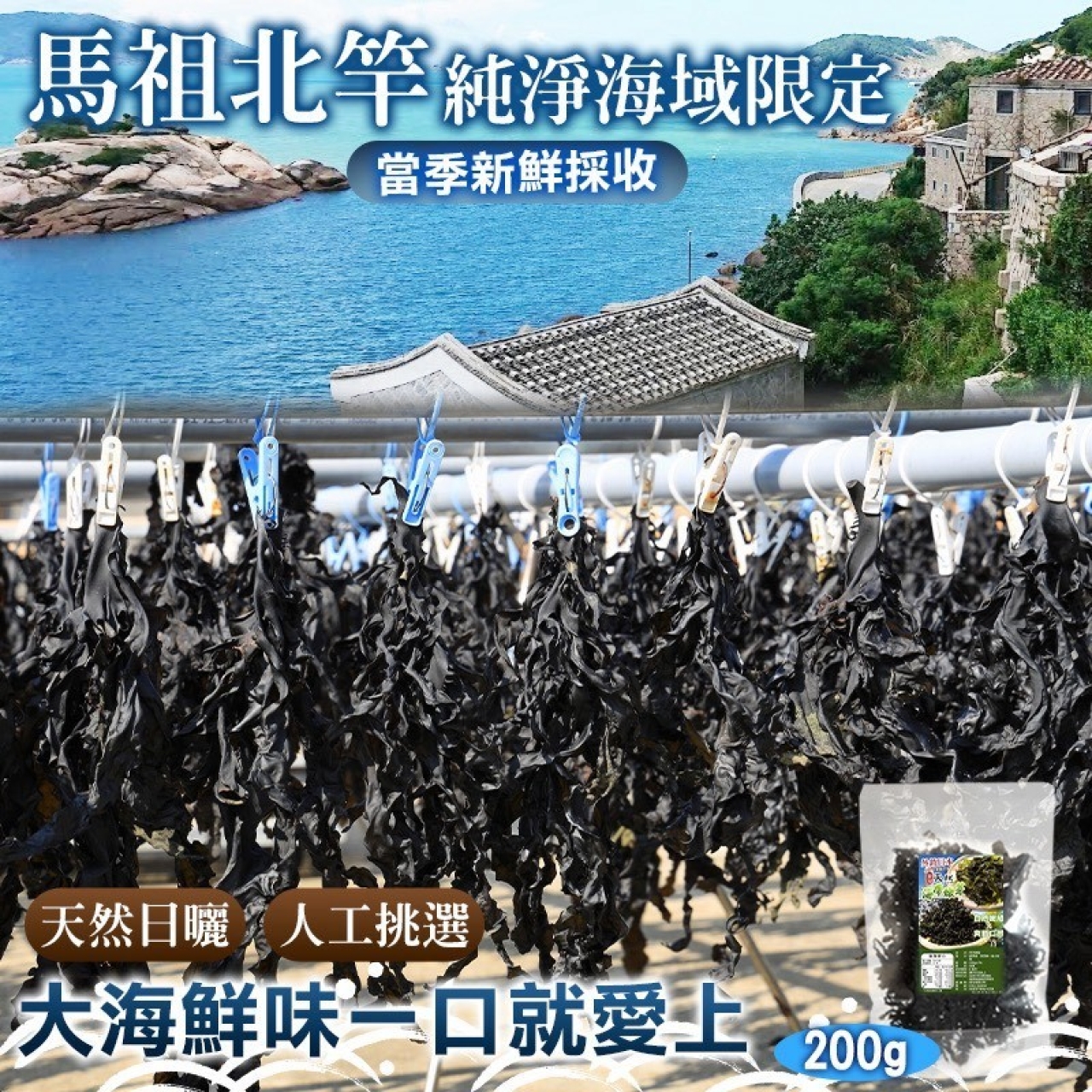 馬祖北竿天然海帶嫩芽