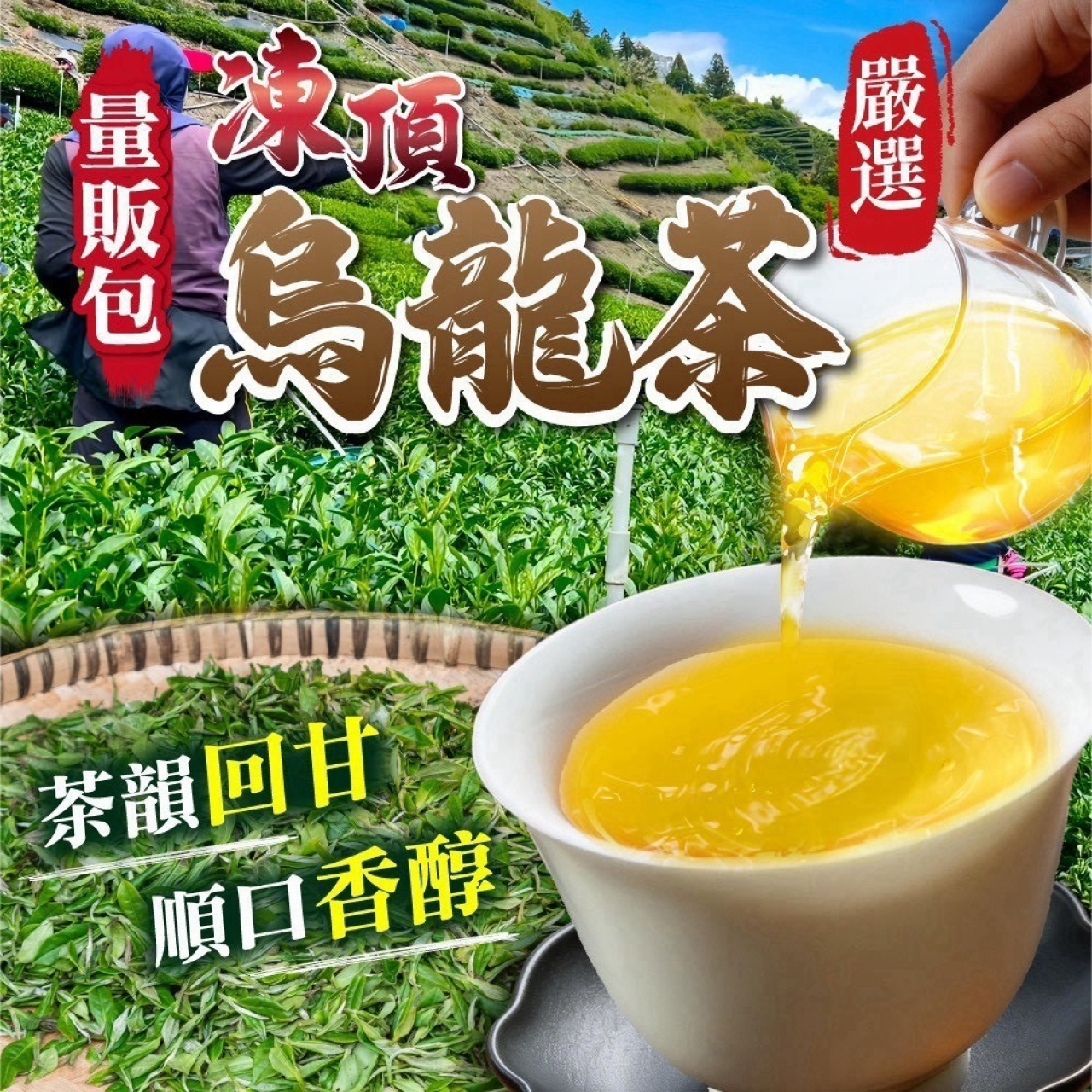 新品上市 凍頂烏龍茶 量販包 70入