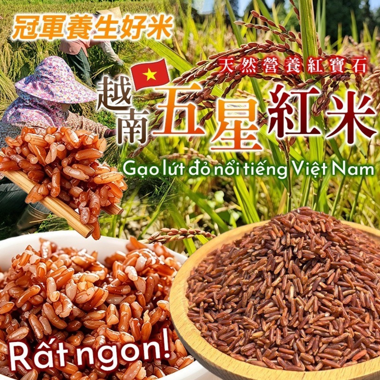 越南五星紅米 天然穀物紅寶石