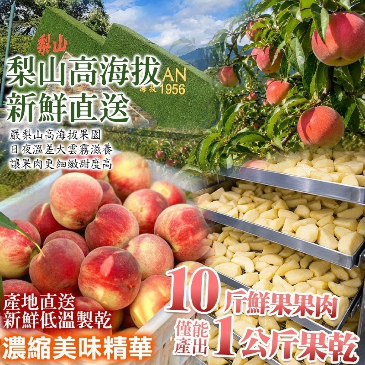 梨山蜜果雙寶 低糖蜜桃＋蜜蘋果乾